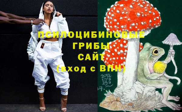 дживик Пестово