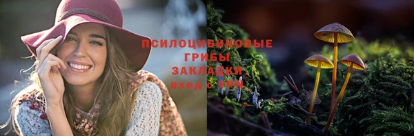 хмурый Алексин