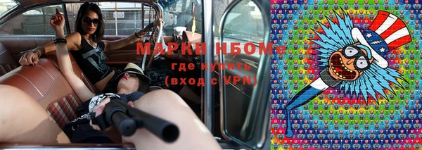 хмурый Алексин