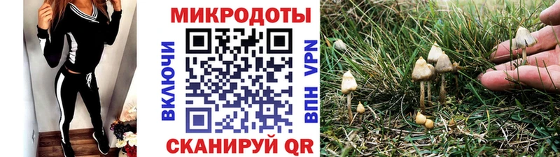 Галлюциногенные грибы Psilocybine cubensis  Волгореченск 