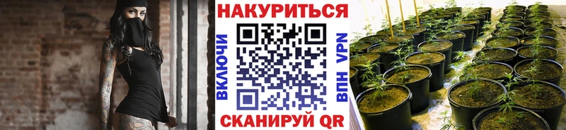 OMG зеркало Волгореченск Бошки марихуана гибрид